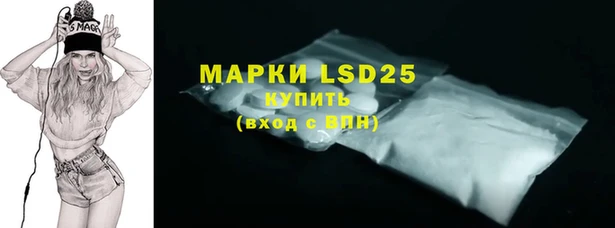 прущие грибы Алзамай