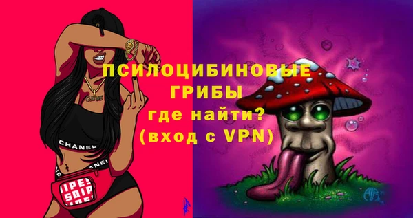 прущие грибы Алзамай
