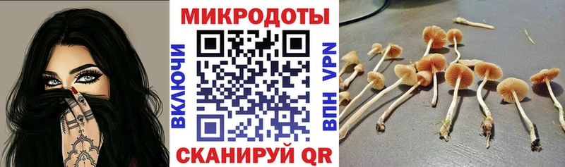 закладки  Мышкин  Галлюциногенные грибы мухоморы 